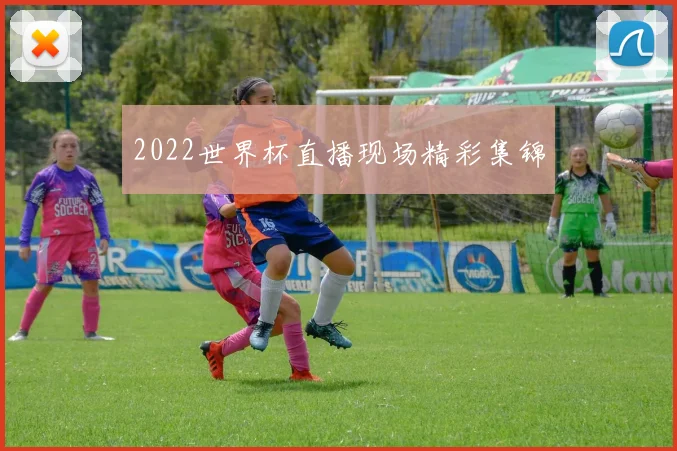2022世界杯直播现场精彩集锦