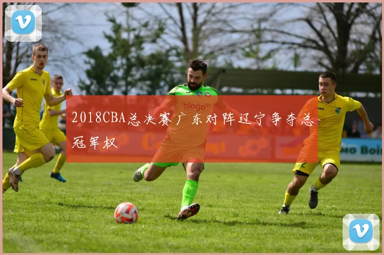 2018CBA总决赛广东对阵辽宁争夺总冠军权